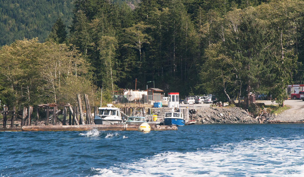 Fair Harbour Marina and Campground – Gateway to Kyuquot